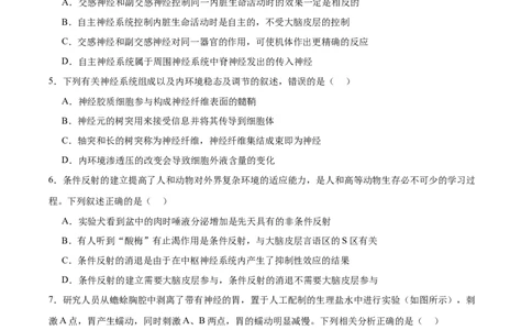 考点通关卷25神经调节（原卷版）_2025年新高考资料_一轮复习_2025年高考生物一轮复习考点通关卷（新高考通用）_考点通关卷25神经调节-2025年高考生物一轮复习考点通关卷（新高考通用）