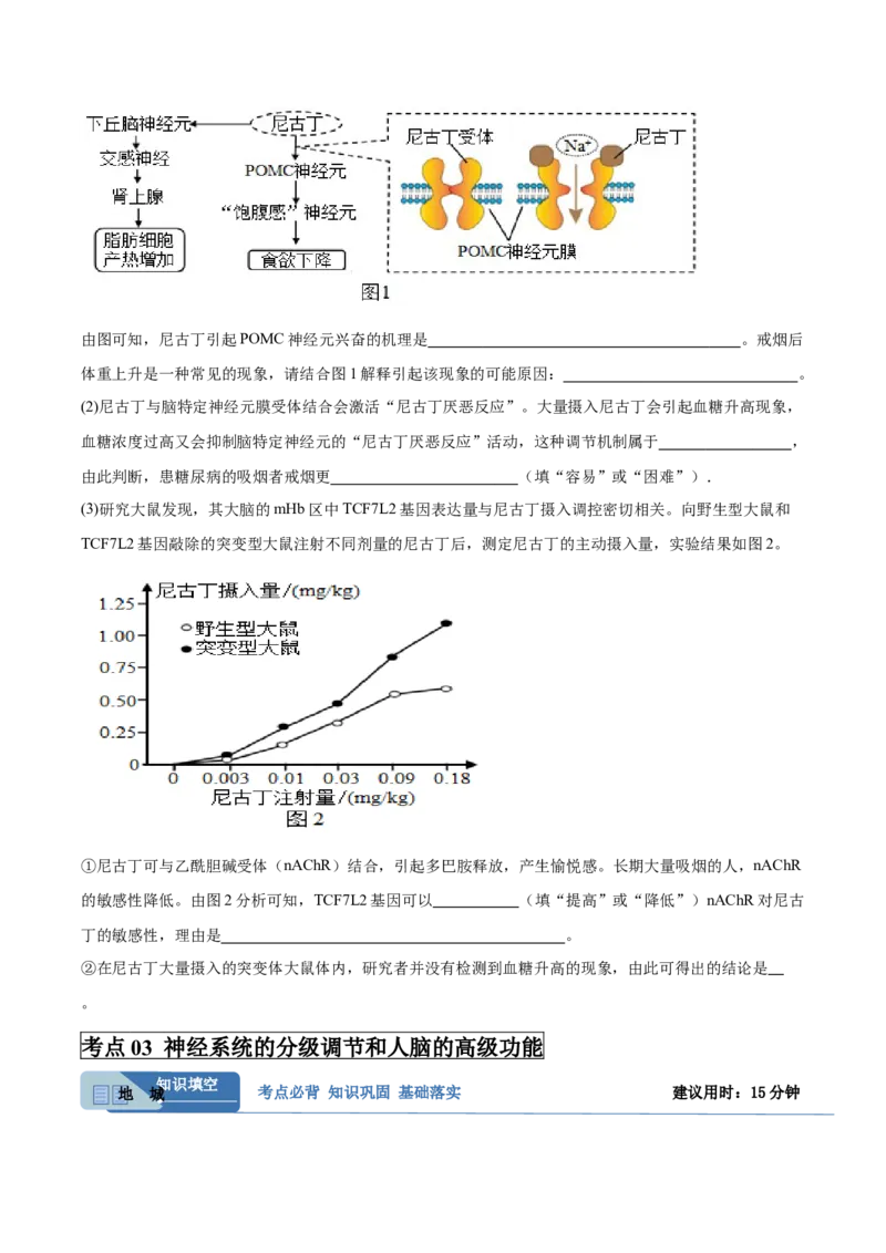 考点通关卷25神经调节（原卷版）_2025年新高考资料_一轮复习_2025年高考生物一轮复习考点通关卷（新高考通用）_考点通关卷25神经调节-2025年高考生物一轮复习考点通关卷（新高考通用）
