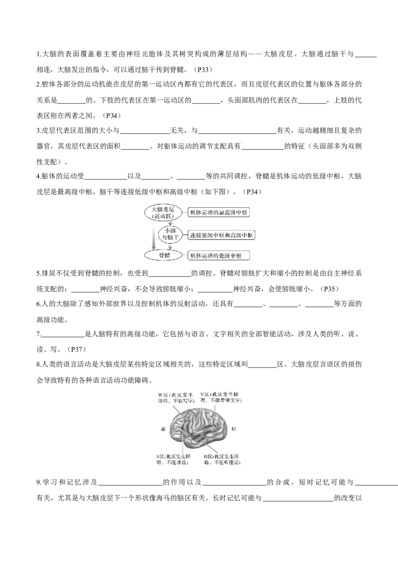 考点通关卷25神经调节（原卷版）_2025年新高考资料_一轮复习_2025年高考生物一轮复习考点通关卷（新高考通用）_考点通关卷25神经调节-2025年高考生物一轮复习考点通关卷（新高考通用）