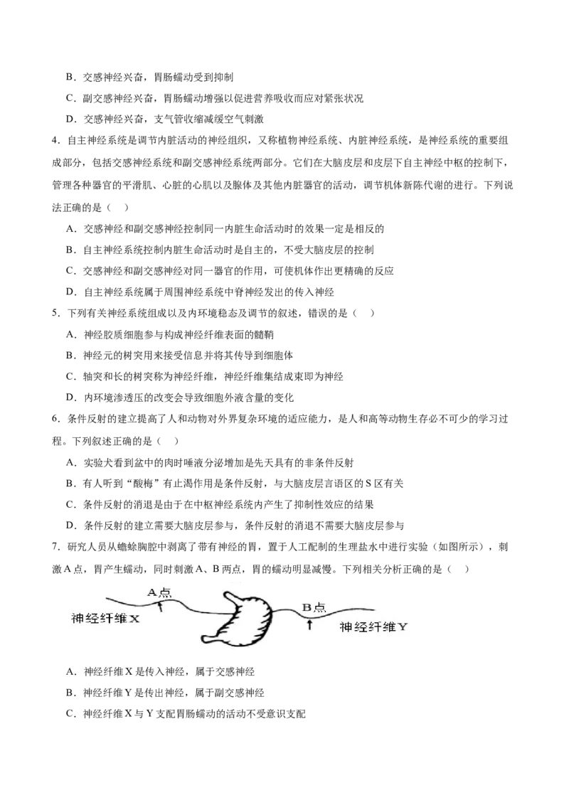 考点通关卷25神经调节（原卷版）_2025年新高考资料_一轮复习_2025年高考生物一轮复习考点通关卷（新高考通用）_考点通关卷25神经调节-2025年高考生物一轮复习考点通关卷（新高考通用）
