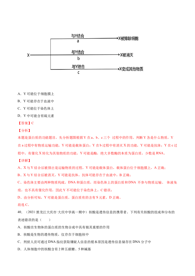 解密01细胞的分子组成和结构（分层训练）（解析版）_新高考复习资料_2021年新高考资料_高频考点解密2021年高考生物二轮复习讲义+分层训练4.7更新