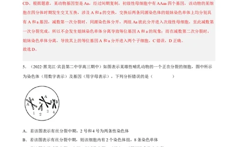 解密07遗传的细胞学基础（分层训练)（解析版）_通用版（老高考）复习资料_2023年复习资料_二轮复习_高频考点解密2023年高考生物二轮复习讲义+分层训练（全国通用）