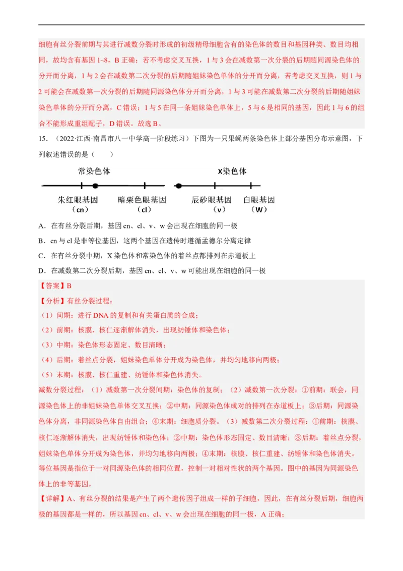 解密07遗传的细胞学基础（分层训练)（解析版）_通用版（老高考）复习资料_2023年复习资料_二轮复习_高频考点解密2023年高考生物二轮复习讲义+分层训练（全国通用）