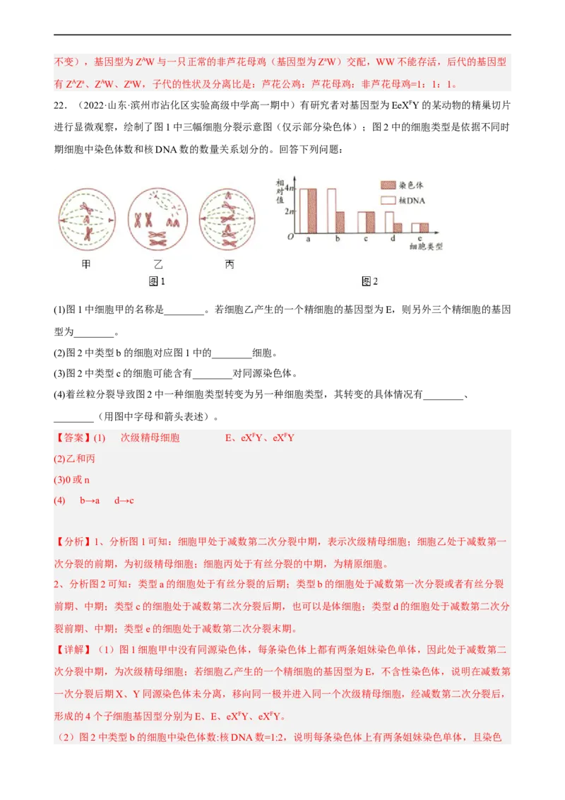 解密07遗传的细胞学基础（分层训练)（解析版）_通用版（老高考）复习资料_2023年复习资料_二轮复习_高频考点解密2023年高考生物二轮复习讲义+分层训练（全国通用）