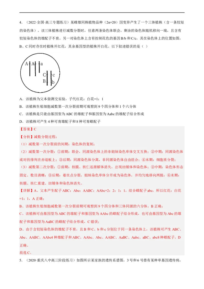 解密07遗传的细胞学基础（分层训练)（解析版）_通用版（老高考）复习资料_2023年复习资料_二轮复习_高频考点解密2023年高考生物二轮复习讲义+分层训练（全国通用）