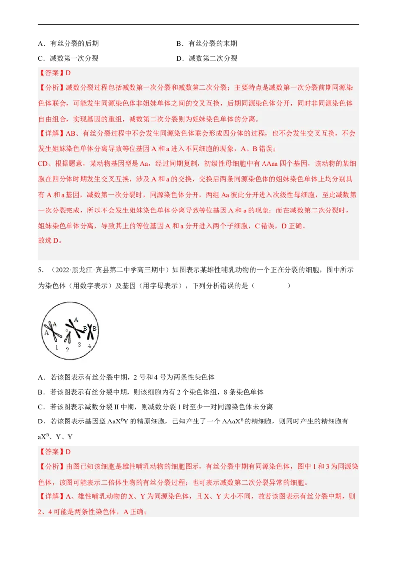 解密07遗传的细胞学基础（分层训练)（解析版）_通用版（老高考）复习资料_2023年复习资料_二轮复习_高频考点解密2023年高考生物二轮复习讲义+分层训练（全国通用）