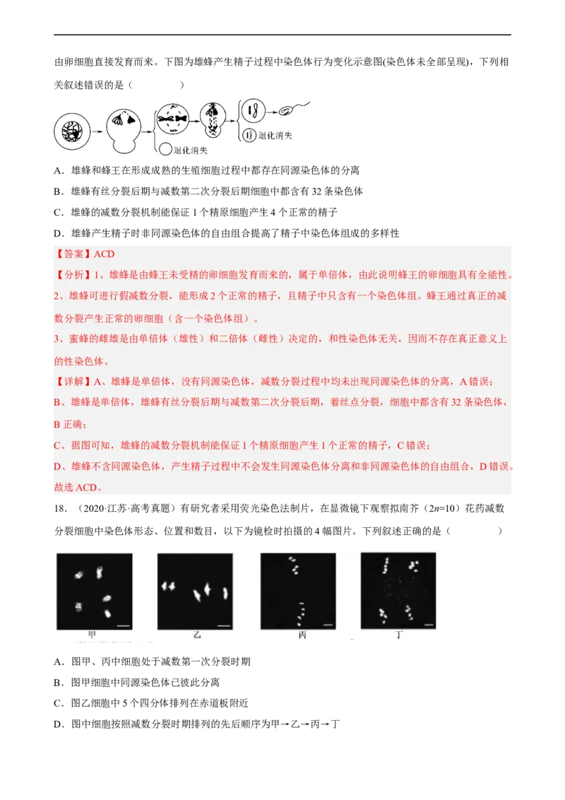 解密07遗传的细胞学基础（分层训练)（解析版）_通用版（老高考）复习资料_2023年复习资料_二轮复习_高频考点解密2023年高考生物二轮复习讲义+分层训练（全国通用）