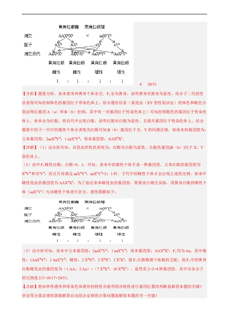 解密07遗传的细胞学基础（分层训练)（解析版）_通用版（老高考）复习资料_2023年复习资料_二轮复习_高频考点解密2023年高考生物二轮复习讲义+分层训练（全国通用）