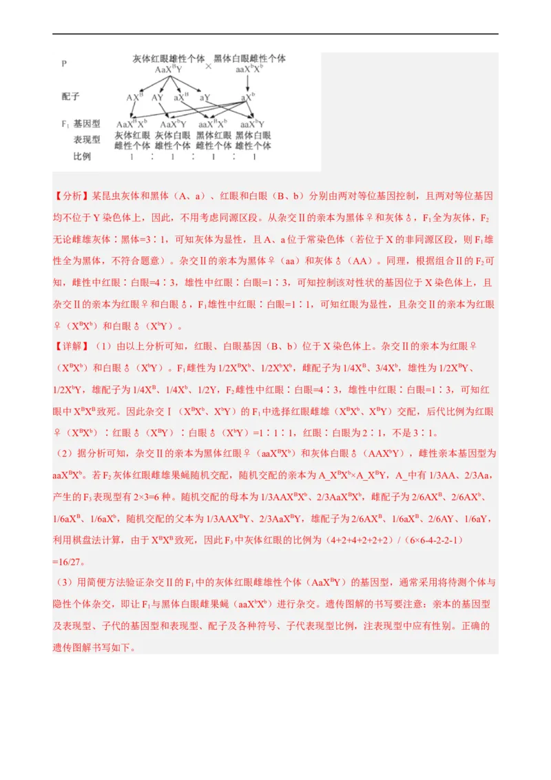 解密07遗传的细胞学基础（分层训练)（解析版）_通用版（老高考）复习资料_2023年复习资料_二轮复习_高频考点解密2023年高考生物二轮复习讲义+分层训练（全国通用）