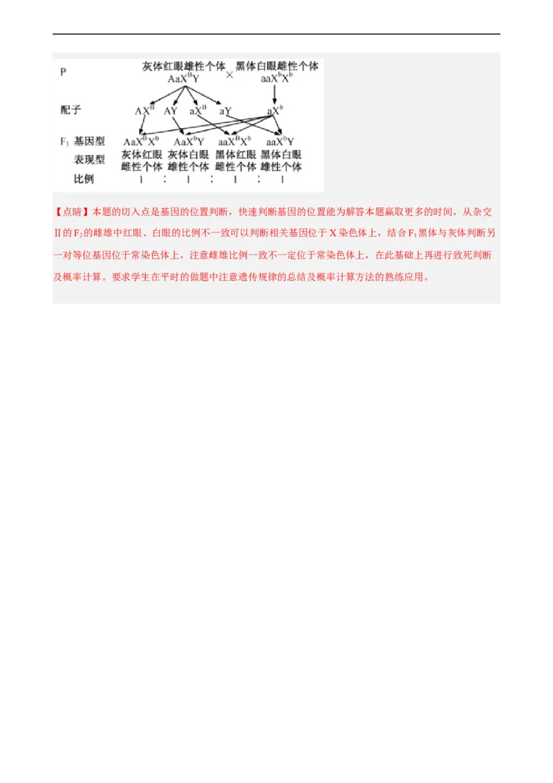 解密07遗传的细胞学基础（分层训练)（解析版）_通用版（老高考）复习资料_2023年复习资料_二轮复习_高频考点解密2023年高考生物二轮复习讲义+分层训练（全国通用）
