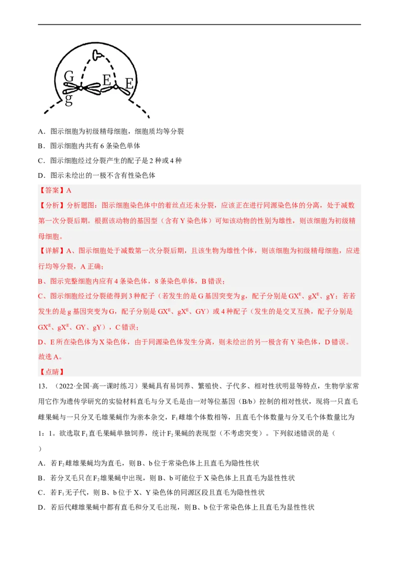 解密07遗传的细胞学基础（分层训练)（解析版）_通用版（老高考）复习资料_2023年复习资料_二轮复习_高频考点解密2023年高考生物二轮复习讲义+分层训练（全国通用）