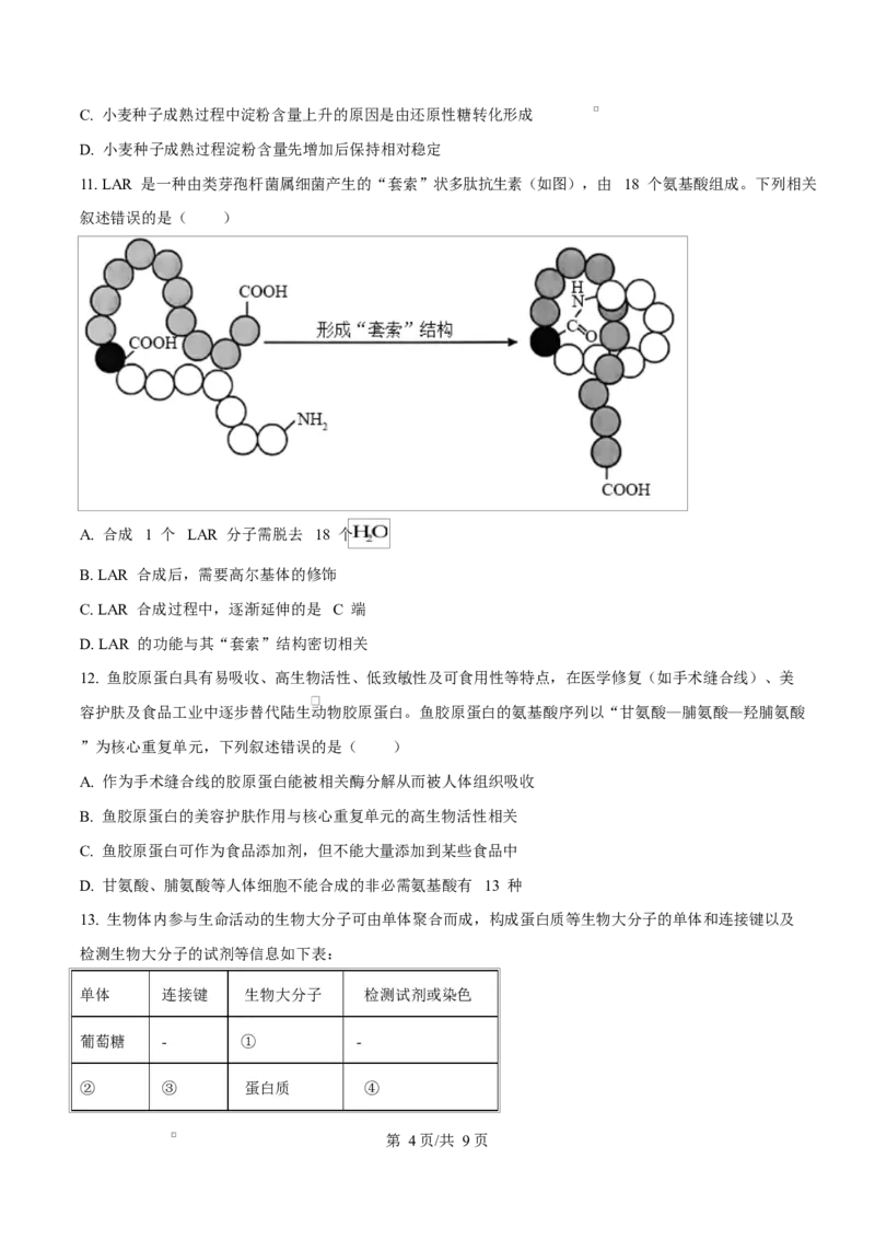 重庆市长寿中学2025-2026学年高一上学期11月期中生物试题（原卷版）_2025年11月高一试卷_251125重庆市长寿中学2025-2026学年高一上学期11月期中（全）