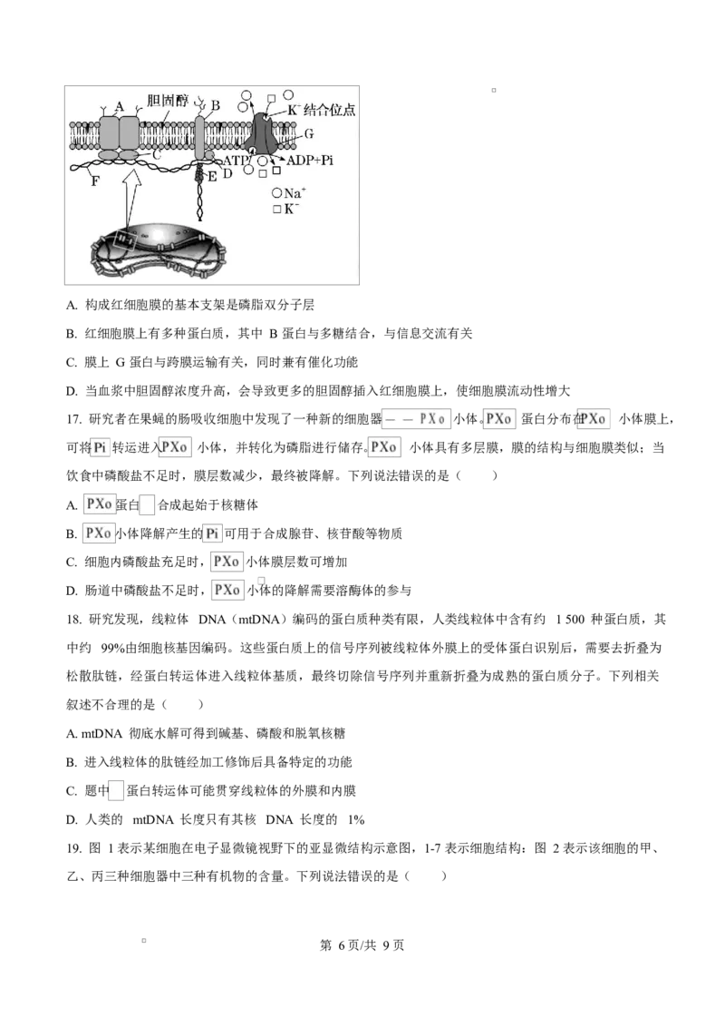 重庆市长寿中学2025-2026学年高一上学期11月期中生物试题（原卷版）_2025年11月高一试卷_251125重庆市长寿中学2025-2026学年高一上学期11月期中（全）