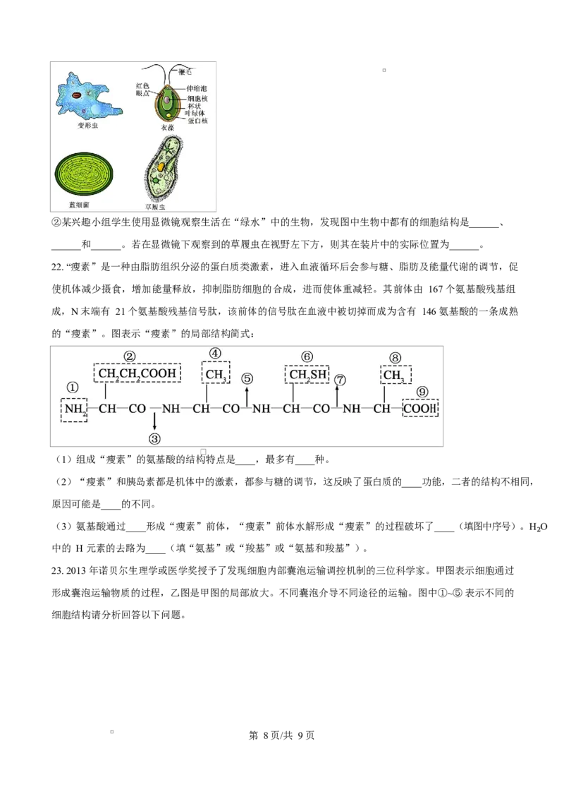 重庆市长寿中学2025-2026学年高一上学期11月期中生物试题（原卷版）_2025年11月高一试卷_251125重庆市长寿中学2025-2026学年高一上学期11月期中（全）