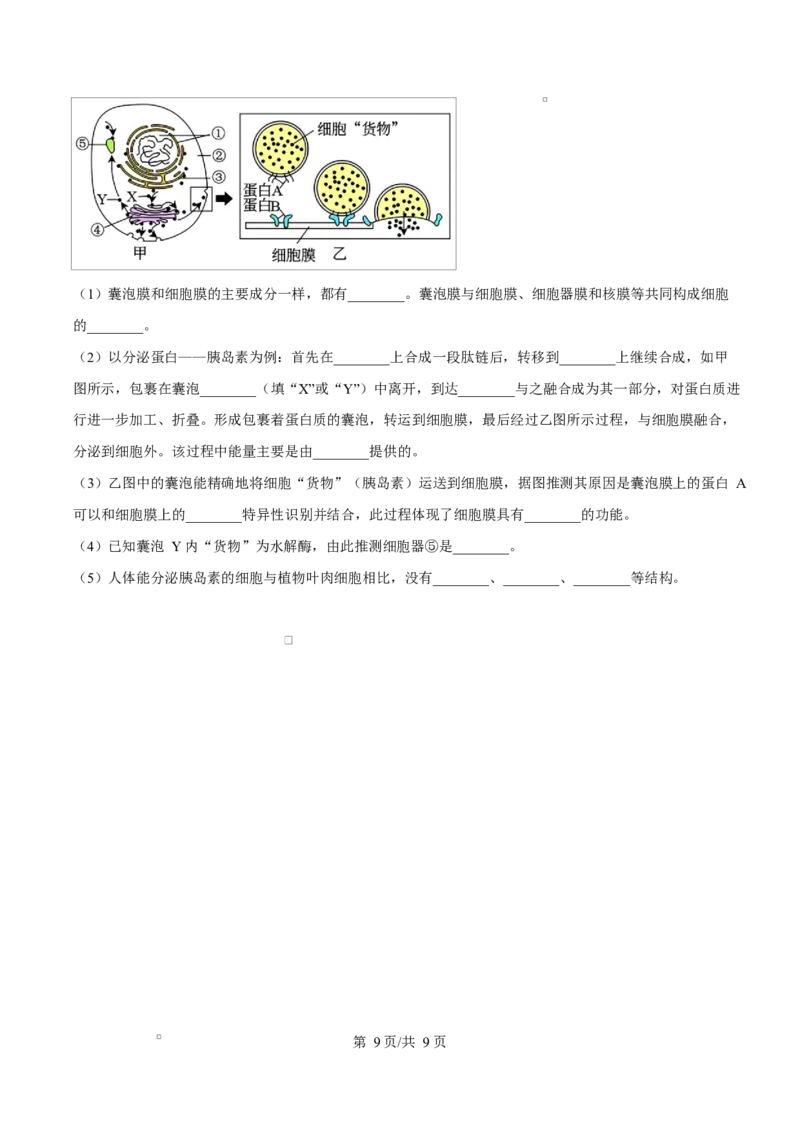 重庆市长寿中学2025-2026学年高一上学期11月期中生物试题（原卷版）_2025年11月高一试卷_251125重庆市长寿中学2025-2026学年高一上学期11月期中（全）