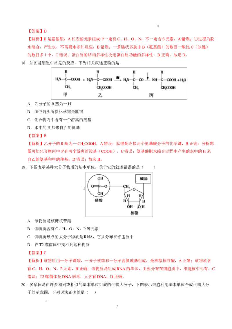 高一生物上学期第一次月考（安徽专用）（全解全析）_2025年10月高一试卷_2510032025-2026学年高一生物上学期第一次月考_2025-2026学年高一生物上学期第一次月考（安徽专用）Word版含解析