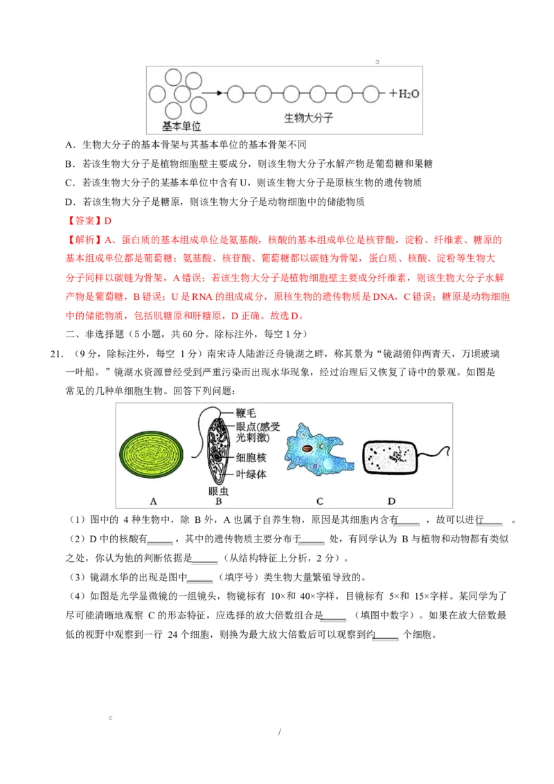 高一生物上学期第一次月考（安徽专用）（全解全析）_2025年10月高一试卷_2510032025-2026学年高一生物上学期第一次月考_2025-2026学年高一生物上学期第一次月考（安徽专用）Word版含解析