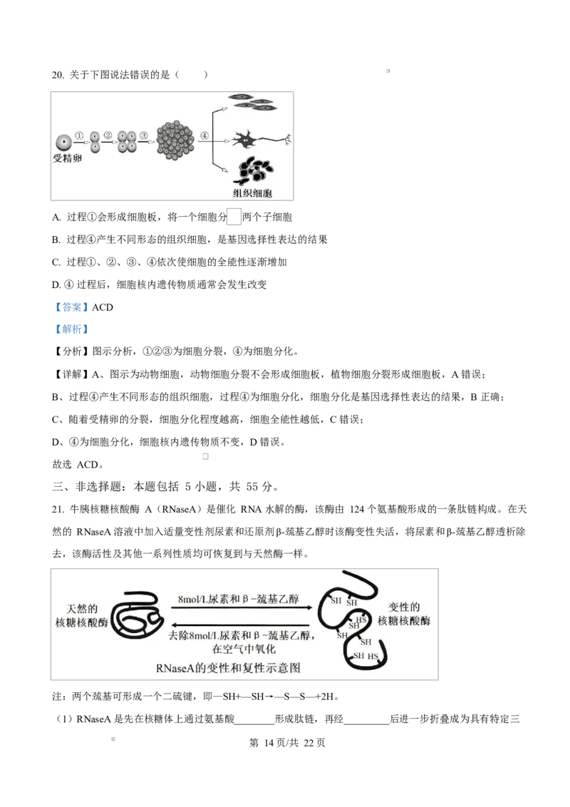 黑龙江省龙东地区2024-2025学年高一上学期期末考试生物试卷Word版含解析_2025年02月试卷_0219黑龙江省龙东地区2024-2025学年高一上学期1月期末考试