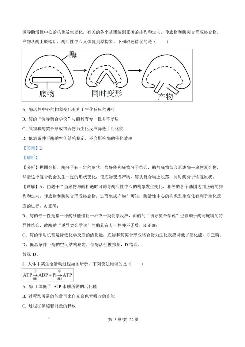 黑龙江省龙东地区2024-2025学年高一上学期期末考试生物试卷Word版含解析_2025年02月试卷_0219黑龙江省龙东地区2024-2025学年高一上学期1月期末考试
