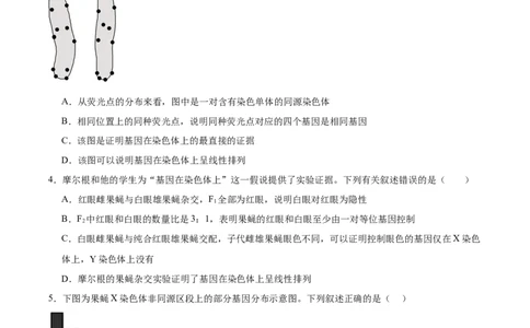 考点通关卷17伴性遗传和人类遗传病（原卷版）_2025年新高考资料_一轮复习_2025年高考生物一轮复习考点通关卷（新高考通用）