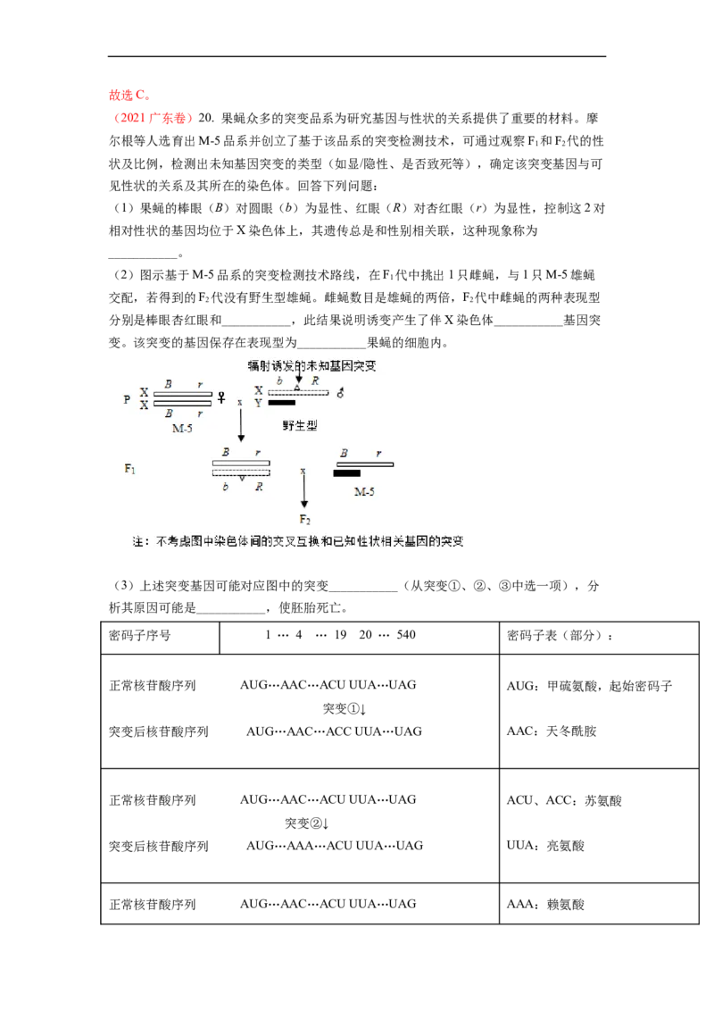 解密09生物的变异（讲义)（教师版）_通用版（老高考）复习资料_2023年复习资料_二轮复习_高频考点解密2023年高考生物二轮复习讲义+分层训练（全国通用）