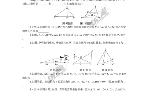 专项训练三　图形的相似_湘教版初中数学课件_数学湘教版9下教案PPT课件配套资料_数学湘教版初中9年级下册--7.各阶段精品试题_九年级全册复习专项训练