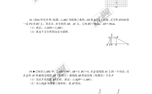 专项训练三　图形的相似_湘教版初中数学课件_数学湘教版9下教案PPT课件配套资料_数学湘教版初中9年级下册--7.各阶段精品试题_九年级全册复习专项训练