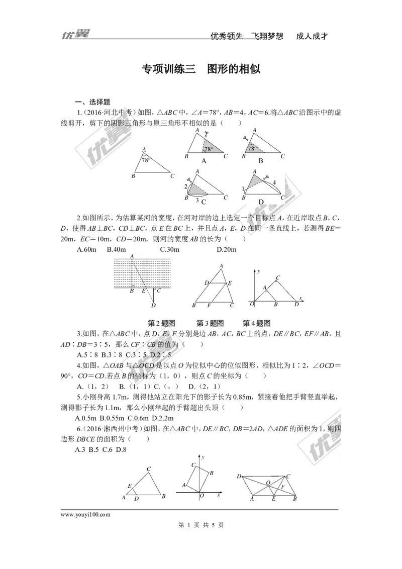 专项训练三　图形的相似_湘教版初中数学课件_数学湘教版9下教案PPT课件配套资料_数学湘教版初中9年级下册--7.各阶段精品试题_九年级全册复习专项训练