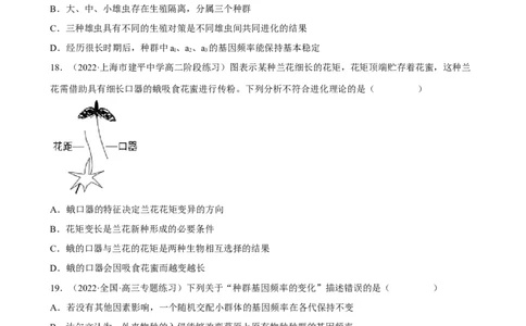 解密10生物的进化（分层训练)（原卷版）_通用版（老高考）复习资料_2023年复习资料_二轮复习_高频考点解密2023年高考生物二轮复习讲义+分层训练（全国通用）