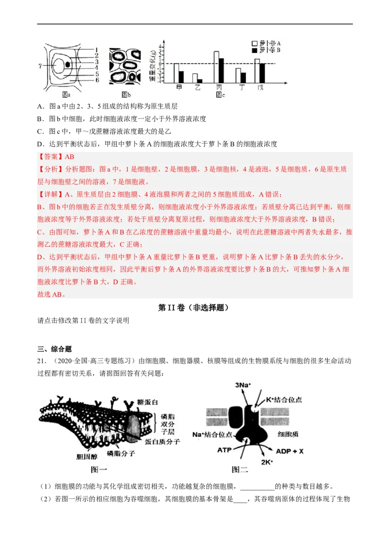 解密03细胞的物质输入和输出（分层训练)（解析版）_通用版（老高考）复习资料_2023年复习资料_二轮复习_高频考点解密2023年高考生物二轮复习讲义+分层训练（全国通用）