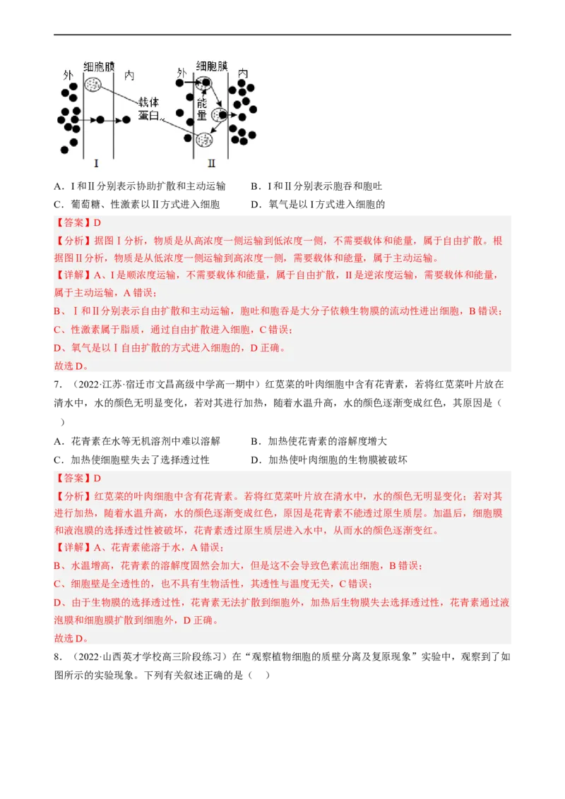 解密03细胞的物质输入和输出（分层训练)（解析版）_通用版（老高考）复习资料_2023年复习资料_二轮复习_高频考点解密2023年高考生物二轮复习讲义+分层训练（全国通用）