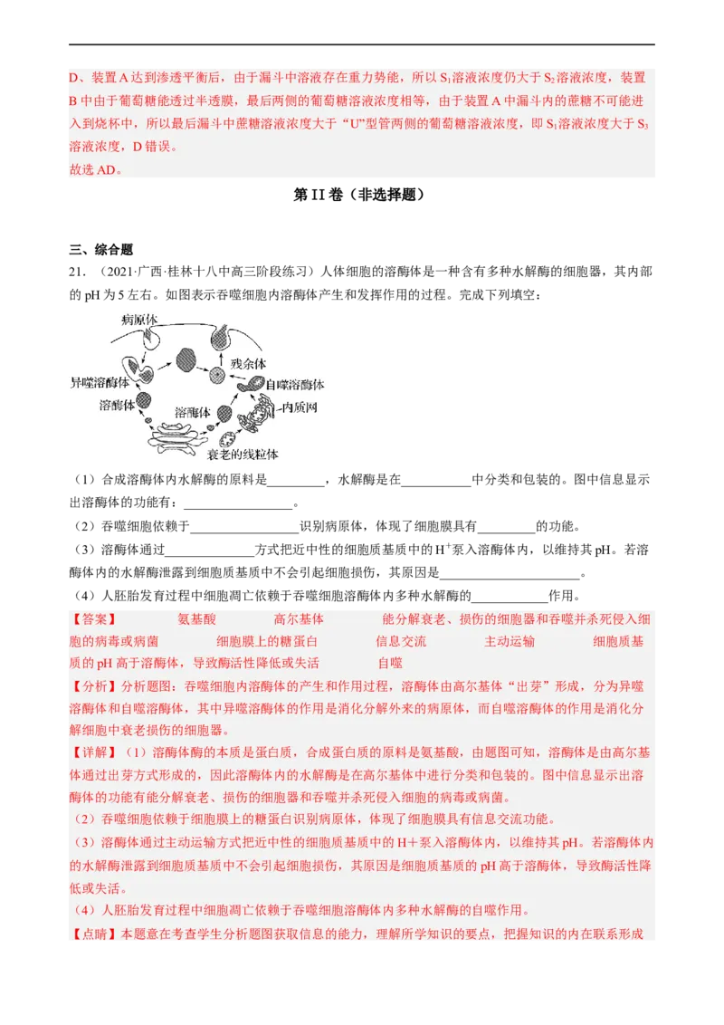 解密03细胞的物质输入和输出（分层训练)（解析版）_通用版（老高考）复习资料_2023年复习资料_二轮复习_高频考点解密2023年高考生物二轮复习讲义+分层训练（全国通用）