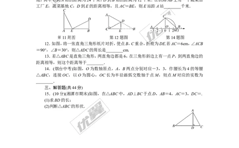 4.综合滚动练习：直角三角形的相关性质与判定_湘教版初中数学课件_数学湘教版8下教案PPT课件配套资料_数学湘教版初中8年级下册习题试题_精品专题