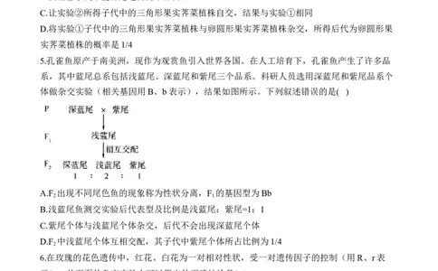 （10）基因的分离定律&mdash;&mdash;2025届高考生物二轮复习易错重难提升（含解析）_2025年新高考资料_二轮复习_2025届高考生物二轮复习易错重难提升（含解析）