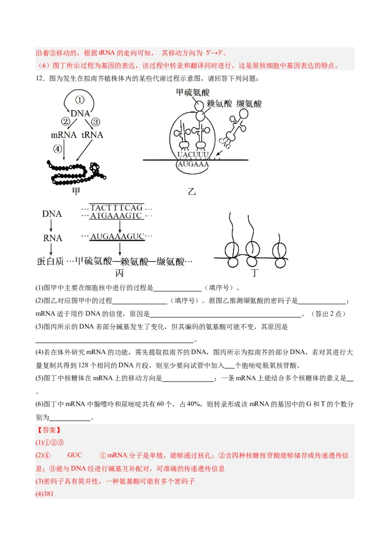 考点通关卷21基因的表达、基因与性状的关系（解析版）_2025年新高考资料_一轮复习_2025年高考生物一轮复习考点通关卷（新高考通用）