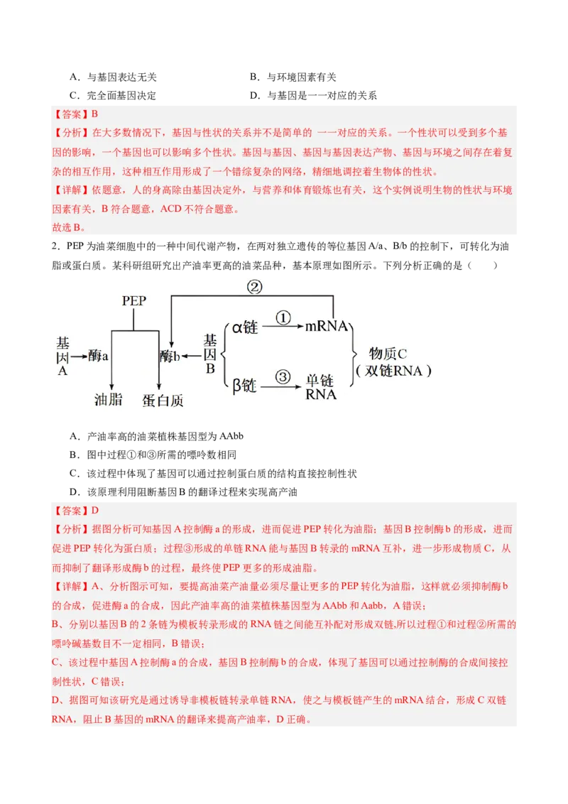 考点通关卷21基因的表达、基因与性状的关系（解析版）_2025年新高考资料_一轮复习_2025年高考生物一轮复习考点通关卷（新高考通用）