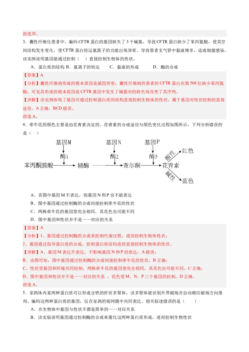 考点通关卷21基因的表达、基因与性状的关系（解析版）_2025年新高考资料_一轮复习_2025年高考生物一轮复习考点通关卷（新高考通用）