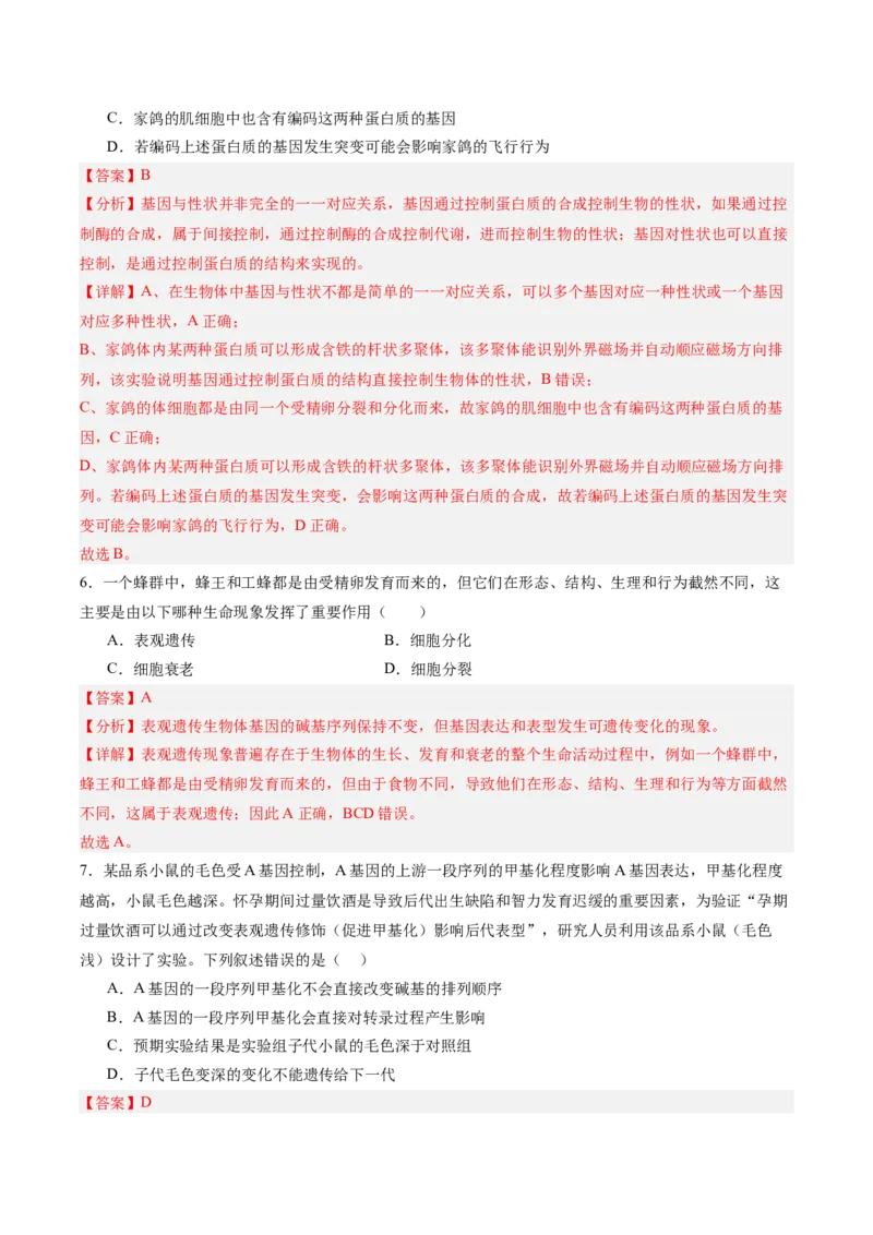 考点通关卷21基因的表达、基因与性状的关系（解析版）_2025年新高考资料_一轮复习_2025年高考生物一轮复习考点通关卷（新高考通用）