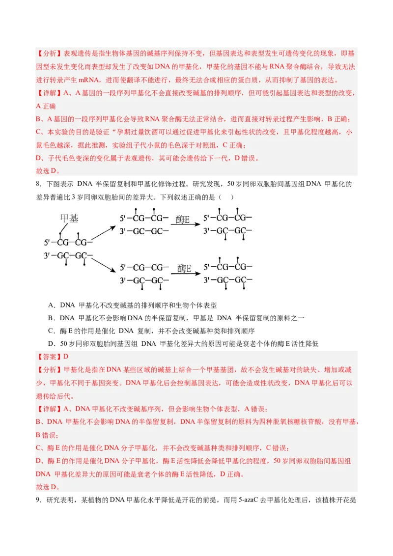 考点通关卷21基因的表达、基因与性状的关系（解析版）_2025年新高考资料_一轮复习_2025年高考生物一轮复习考点通关卷（新高考通用）