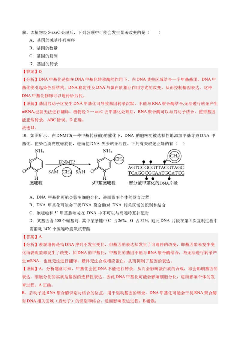 考点通关卷21基因的表达、基因与性状的关系（解析版）_2025年新高考资料_一轮复习_2025年高考生物一轮复习考点通关卷（新高考通用）