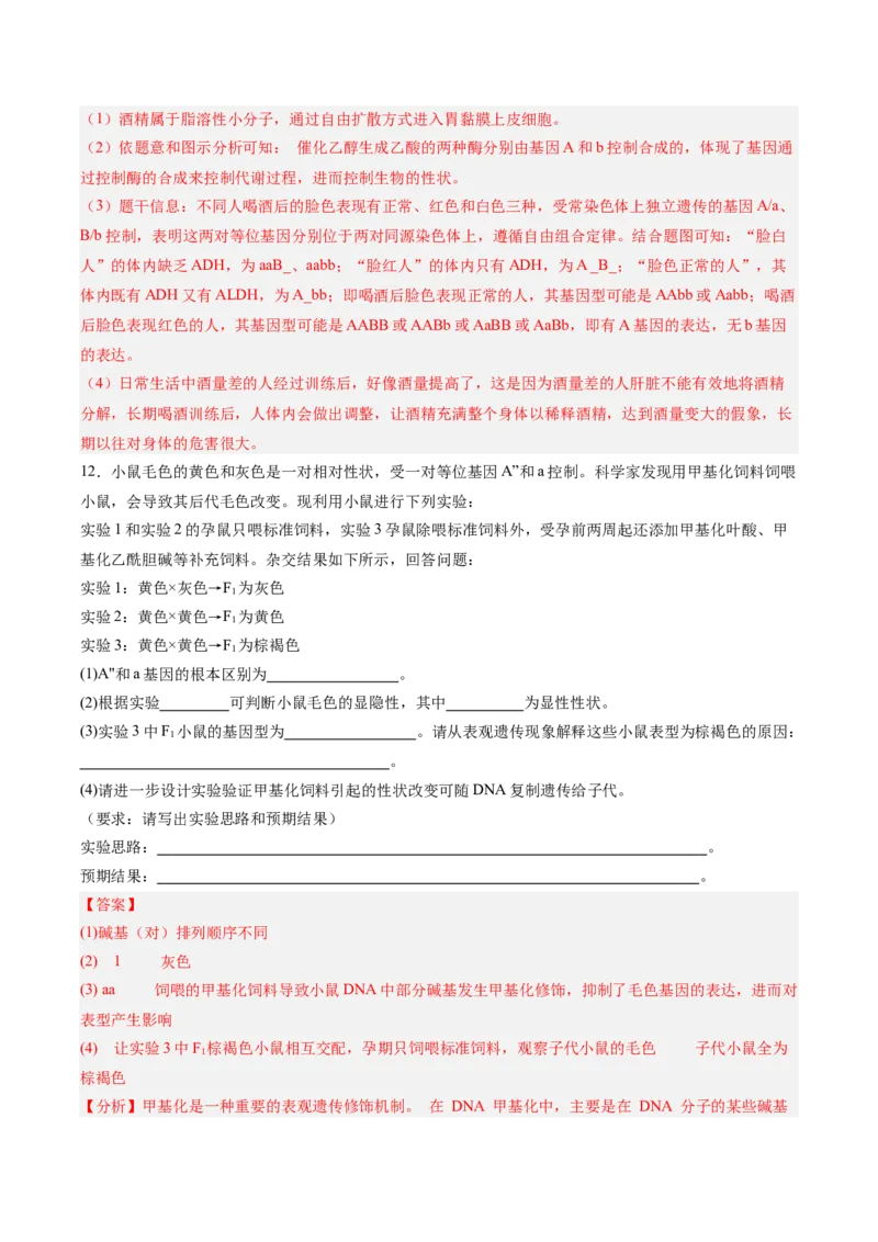考点通关卷21基因的表达、基因与性状的关系（解析版）_2025年新高考资料_一轮复习_2025年高考生物一轮复习考点通关卷（新高考通用）