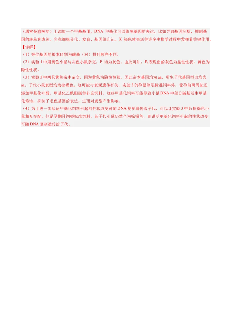 考点通关卷21基因的表达、基因与性状的关系（解析版）_2025年新高考资料_一轮复习_2025年高考生物一轮复习考点通关卷（新高考通用）