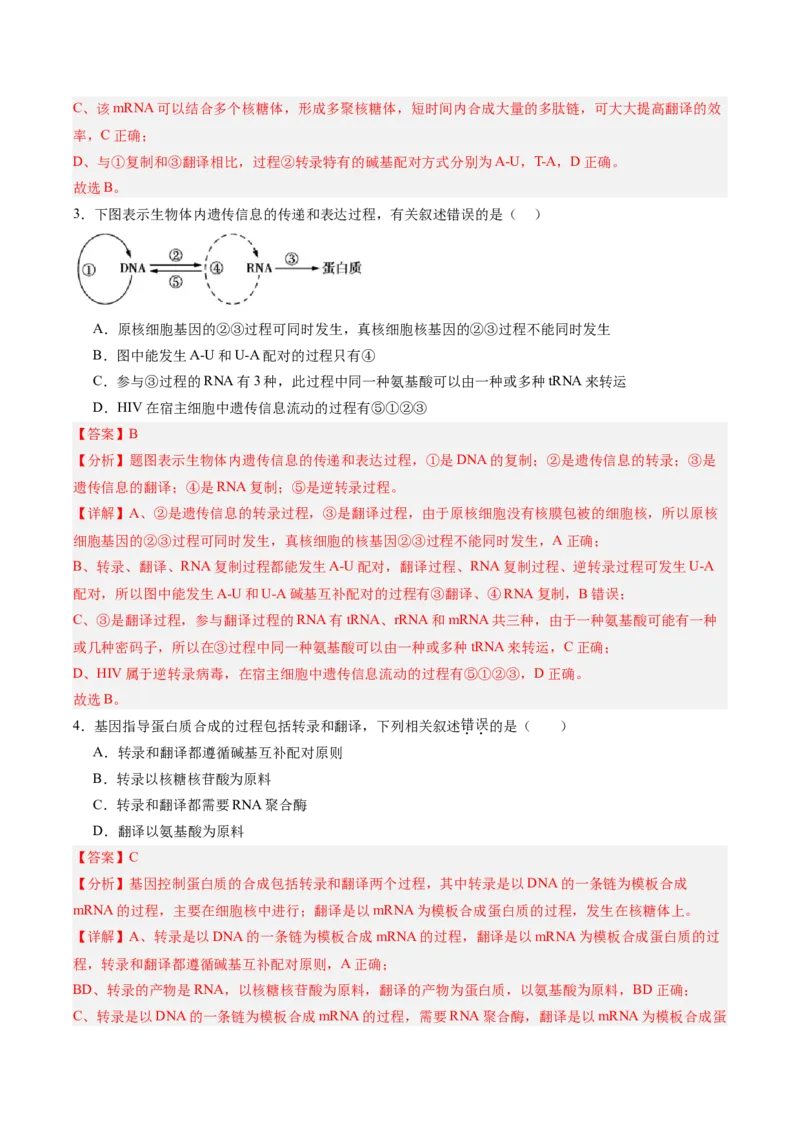 考点通关卷21基因的表达、基因与性状的关系（解析版）_2025年新高考资料_一轮复习_2025年高考生物一轮复习考点通关卷（新高考通用）