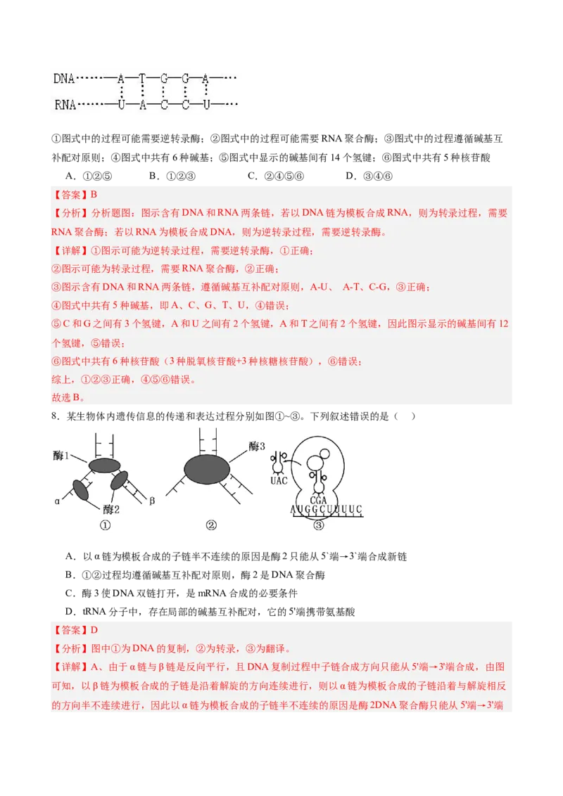 考点通关卷21基因的表达、基因与性状的关系（解析版）_2025年新高考资料_一轮复习_2025年高考生物一轮复习考点通关卷（新高考通用）