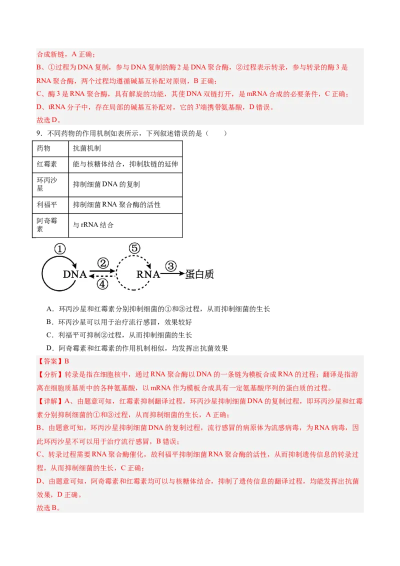 考点通关卷21基因的表达、基因与性状的关系（解析版）_2025年新高考资料_一轮复习_2025年高考生物一轮复习考点通关卷（新高考通用）