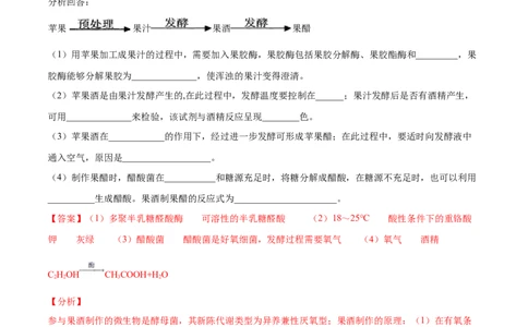 解密24酶的应用（分层训练）（解析版）_新高考复习资料_2021年新高考资料_高频考点解密2021年高考生物二轮复习讲义+分层训练4.7更新