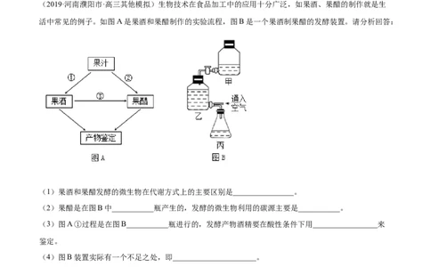 解密24酶的应用（分层训练）（解析版）_新高考复习资料_2021年新高考资料_高频考点解密2021年高考生物二轮复习讲义+分层训练4.7更新