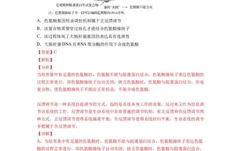 重难点11基因的表达（解析版）_通用版（老高考）复习资料_2023年复习资料_专项复习_2023年高考生物热点&middot;重点&middot;难点专练（全国通用）