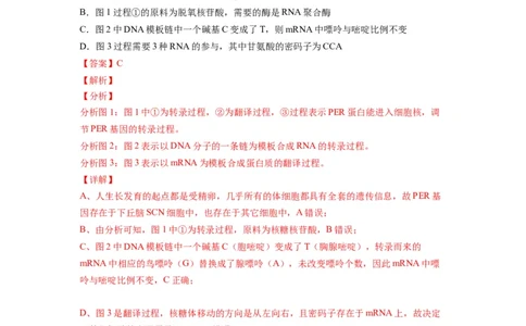 重难点11基因的表达（解析版）_通用版（老高考）复习资料_2023年复习资料_专项复习_2023年高考生物热点&middot;重点&middot;难点专练（全国通用）