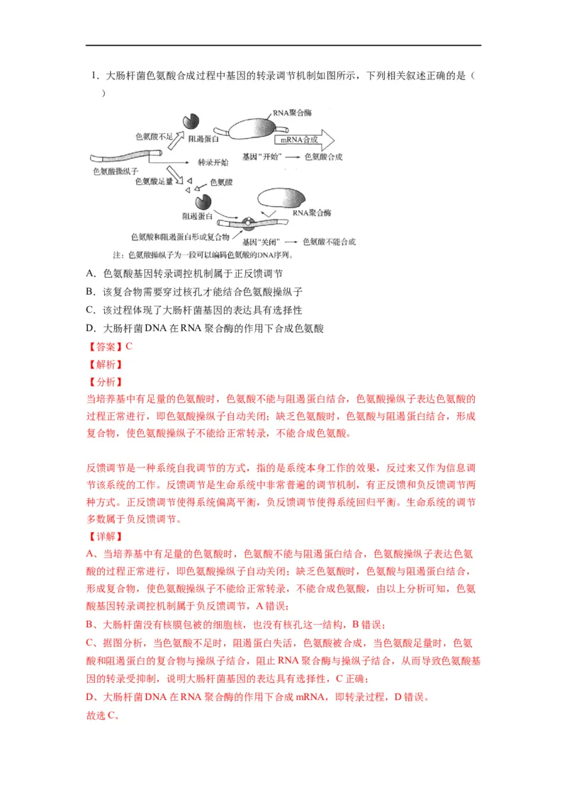 重难点11基因的表达（解析版）_通用版（老高考）复习资料_2023年复习资料_专项复习_2023年高考生物热点&middot;重点&middot;难点专练（全国通用）